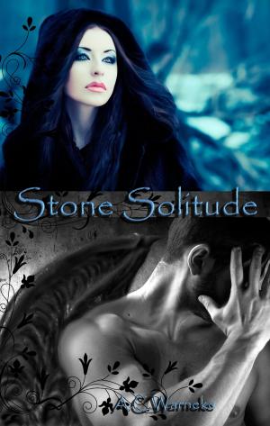 Cover of the book Stone Solitude by AJ Alexander