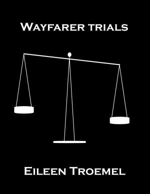 Book cover of Wayfarer Trials