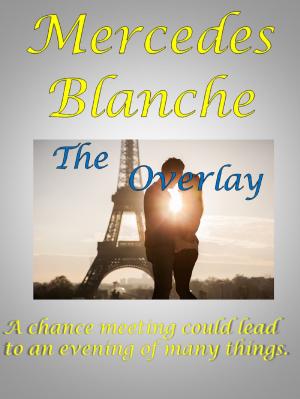 Cover of the book The Overlay by Myanne Shelley