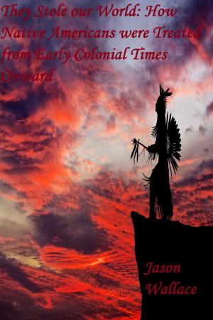 Book cover of They Stole our World: How Native Americans were Treated from Early Colonial Times Onward