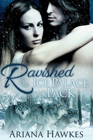 Cover of the book Ravished by the Ice Palace Pack by Kenzie Cox