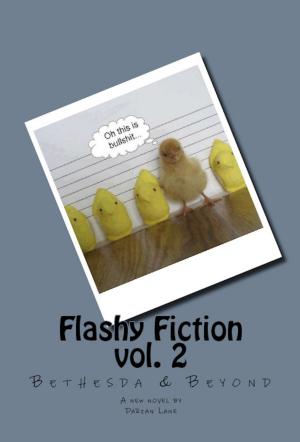 Cover of Flashy Fiction Vol. 2 Bethesda & Beyond