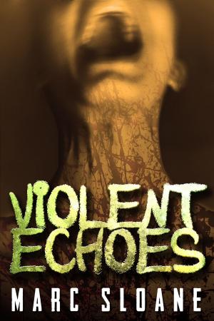 Cover of the book Violent Echoes by Douglas Misquita