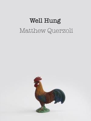 Cover of the book Well Hung by Alphonse Allais