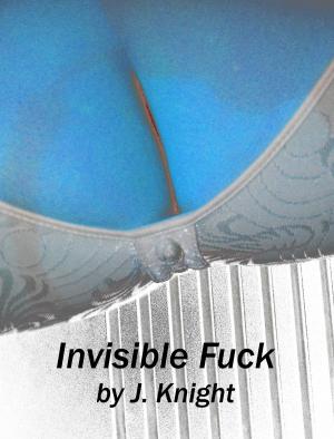 Cover of the book Invisible Fuck by J. Knight