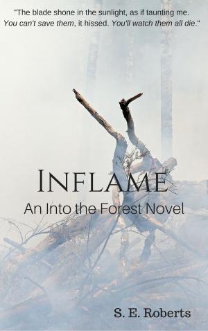 Cover of the book Inflame (Into The Forest #2) by Christy Wilson