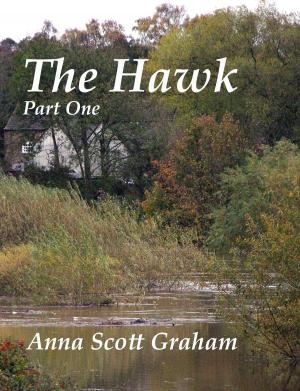 Cover of the book The Hawk: Part One by Jared William Carter (jw)