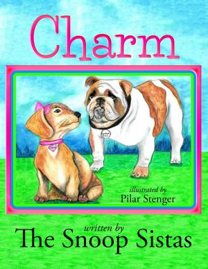 Cover of the book Charm by Jennifer Norman, Paul Norman