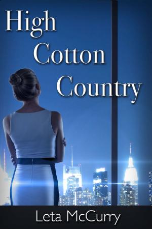Cover of the book High Cotton Country by Sonja Lewis