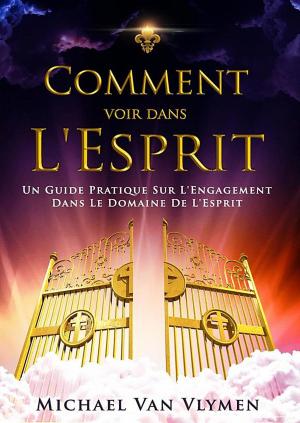 Cover of the book Comment Voir Dans L'Esprit by Sheryl A Stradling