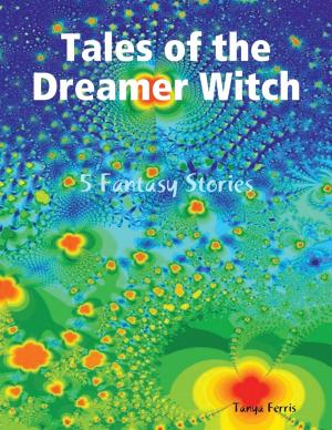 Cover of the book Tales of the Dreamer Witch - 5 Fantasy Stories by Ken Silver