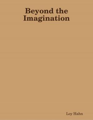 Cover of the book Beyond the Imagination by Barbour Brothers