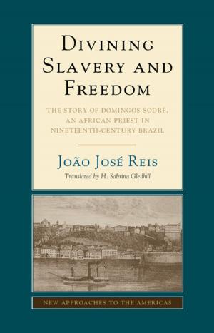Cover of the book Divining Slavery and Freedom by Martin J. Sklar, Nao Hauser