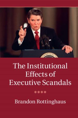 Book cover of The Institutional Effects of Executive Scandals