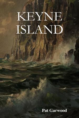 Cover of the book Keyne Island by Vanessa Carvo