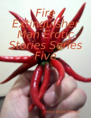 Cover of the book Fire Extinguisher Man Erotic Stories Series Five by Christopher Shellhammer