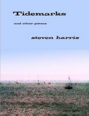 Cover of the book Tidemarks by Priscilla Laster