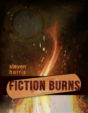 Cover of the book Fiction Burns by Tony Kelbrat