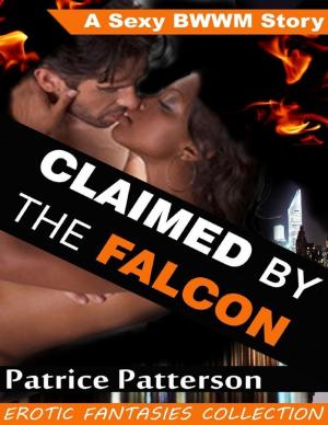 Cover of the book Claimed By the Falcon by N. Isabelle Blanco