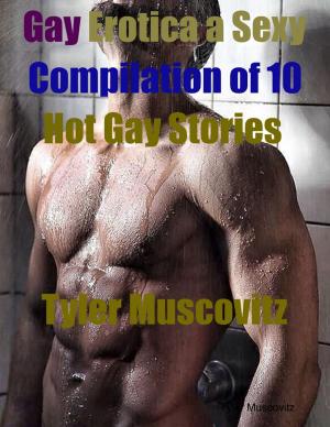 Cover of the book Gay Erotica a Sexy Compilation of 10 Hot Gay Stories by Joe McCormick