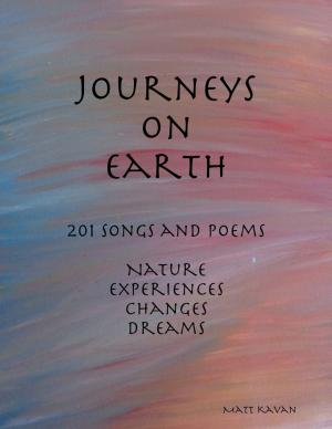 Cover of the book Journeys On Earth by Stephen Holton
