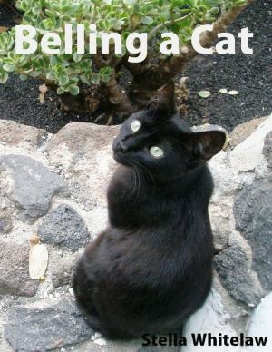 Cover of the book Belling a Cat by Chickpea Chick