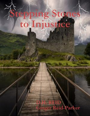Book cover of Stepping Stones to Injustice