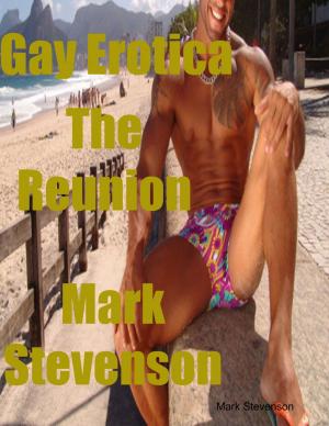 Cover of the book Gay Erotica the Reunion by Brian Nugent