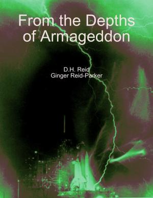 Book cover of From the Depths of Armageddon