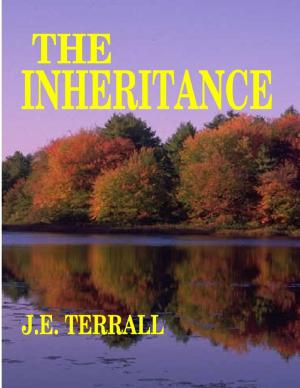 Cover of the book The Inheritance by Martin Price