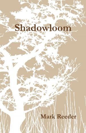 Cover of the book Shadowloom by Qurrat ul Ain Abidiy