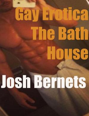 Cover of the book Gay Erotica: The Bath House by Mistress Scarlet