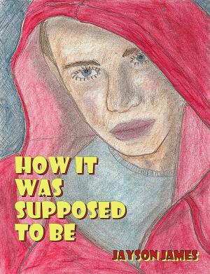 Cover of How It Was Supposed To Be