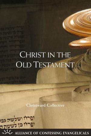 Cover of the book Christ in the Old Testament by Daniel R. Hyde