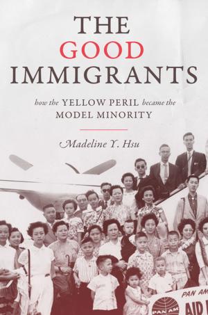 Cover of the book The Good Immigrants by Samuel Heilman, Menachem Friedman