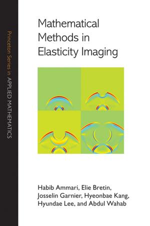 Cover of the book Mathematical Methods in Elasticity Imaging by Paul Embrechts