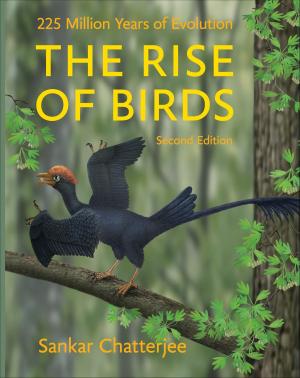 Book cover of The Rise of Birds