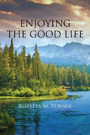 Book cover of Enjoying the Good Life