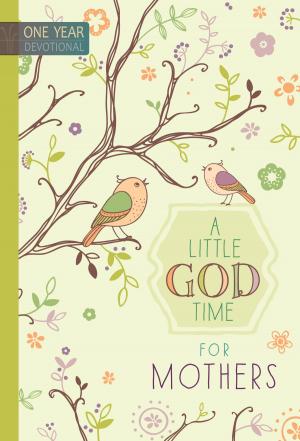 Book cover of A Little God Time for Mothers
