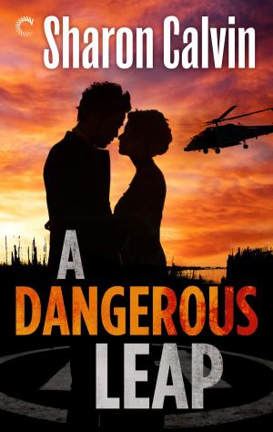 Cover of the book A Dangerous Leap by Jennifer Greene