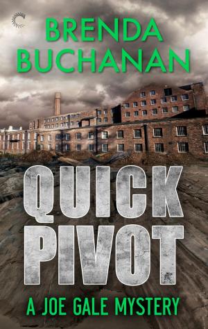 Cover of the book Quick Pivot by Delphine Dryden