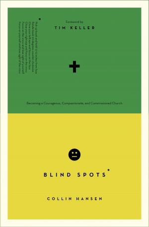 Cover of the book Blind Spots by D. A. Carson, John Piper, Mark Driscoll, Philip Graham Ryken, Bryan Chapell, J. Ligon Duncan, K. Edward Copeland