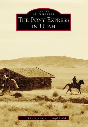 Cover of the book The Pony Express in Utah by Christopher Blake