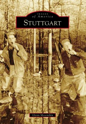 Cover of the book Stuttgart by Tim Rowland