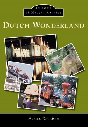 Cover of the book Dutch Wonderland by Evelyn Barker, Lea Worcester