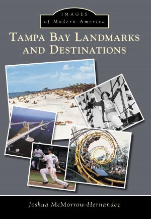 Cover of the book Tampa Bay Landmarks and Destinations by David D. Williams, Hydroplane and Raceboat Museum