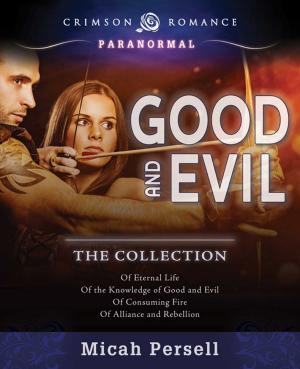 Cover of the book Good and Evil by Carmen Ferreiro-Esteban