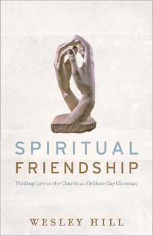 Cover of the book Spiritual Friendship by Elyse Larson