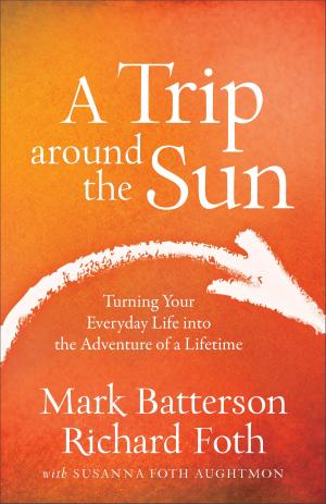 bigCover of the book A Trip around the Sun by 