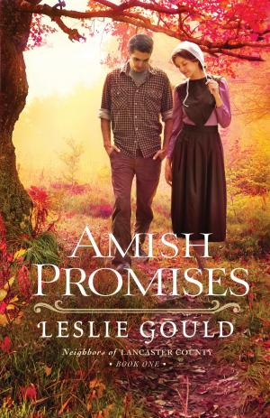Cover of the book Amish Promises (Neighbors of Lancaster County Book #1) by Ted Dekker